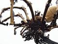 The Giant Spider: La Machine